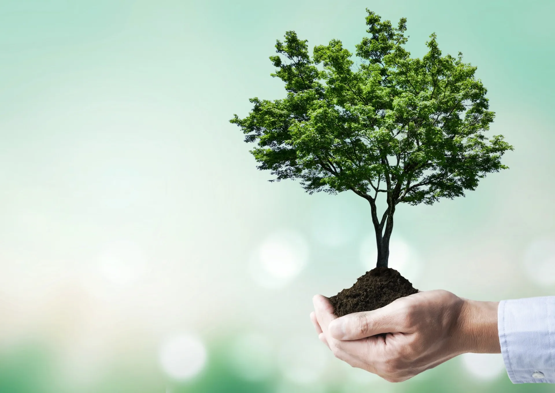 【ホームページ制作】北九州の農業をWebデザインで変える ― 生産者が「選ばれる」ホームページの作り方